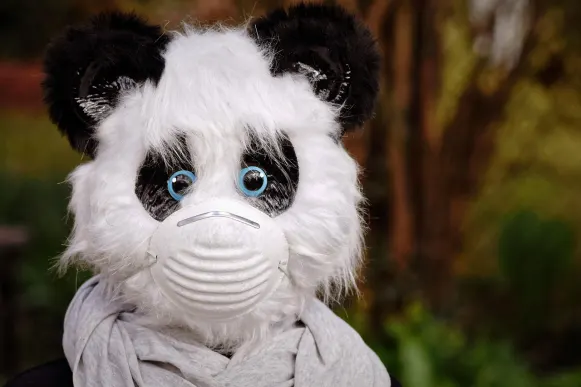 Casino Cyber Bingo Podrška